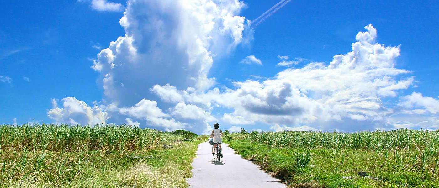 風よ吹け 吹けば君の夢はひろがる